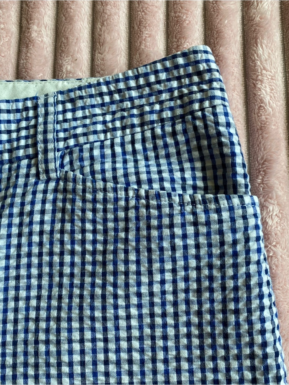 Blue and White Gingham Shorts